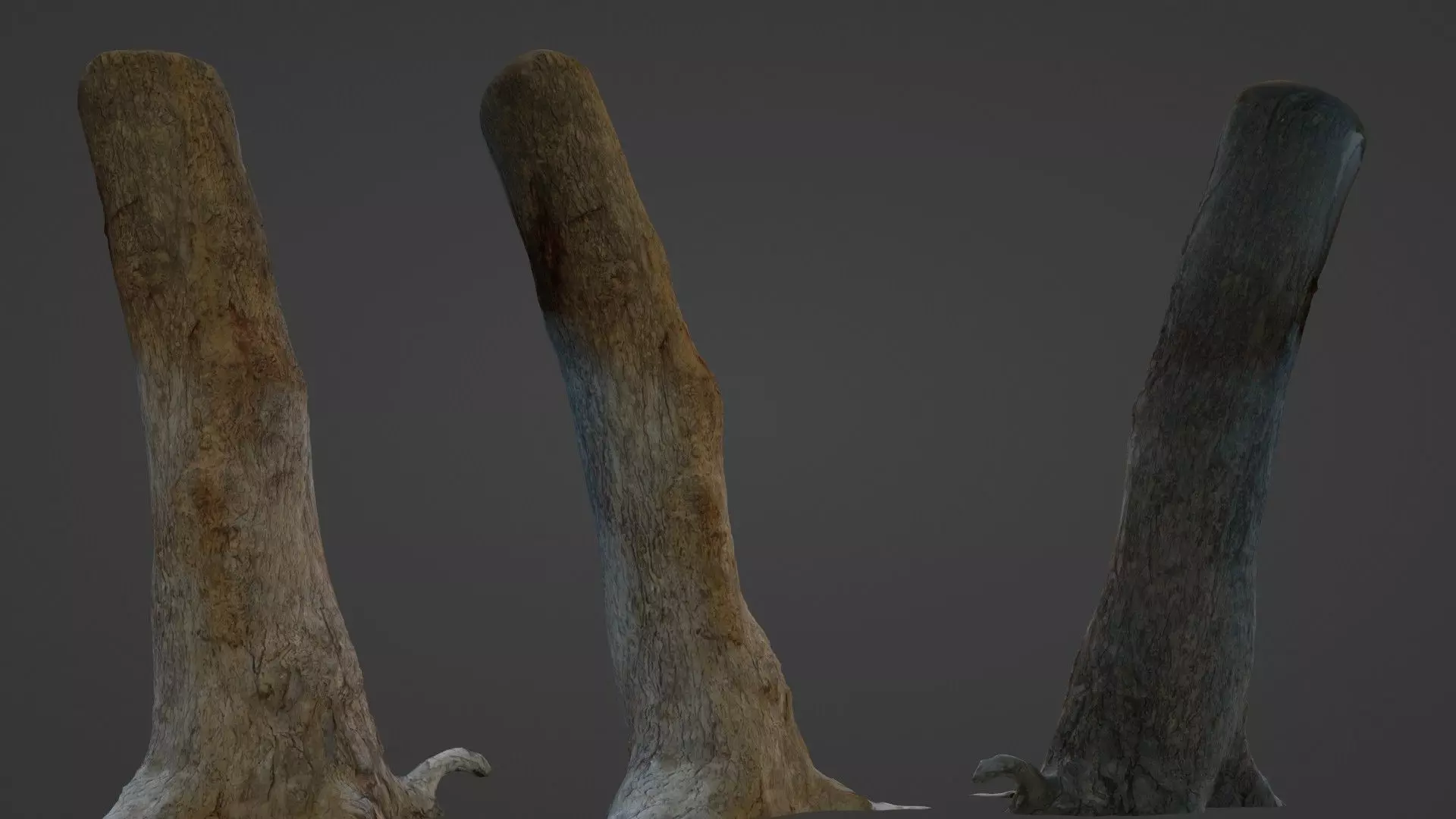 Tree Trunk Low-poly 3D model_0