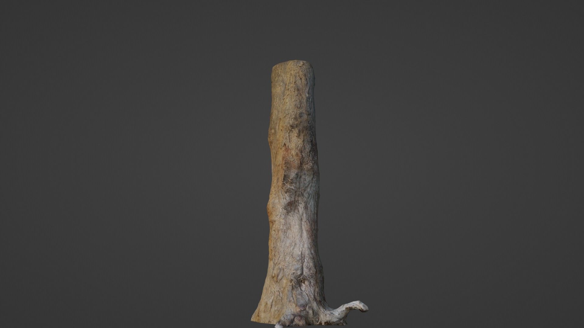 Tree Trunk Low-poly 3D model_6