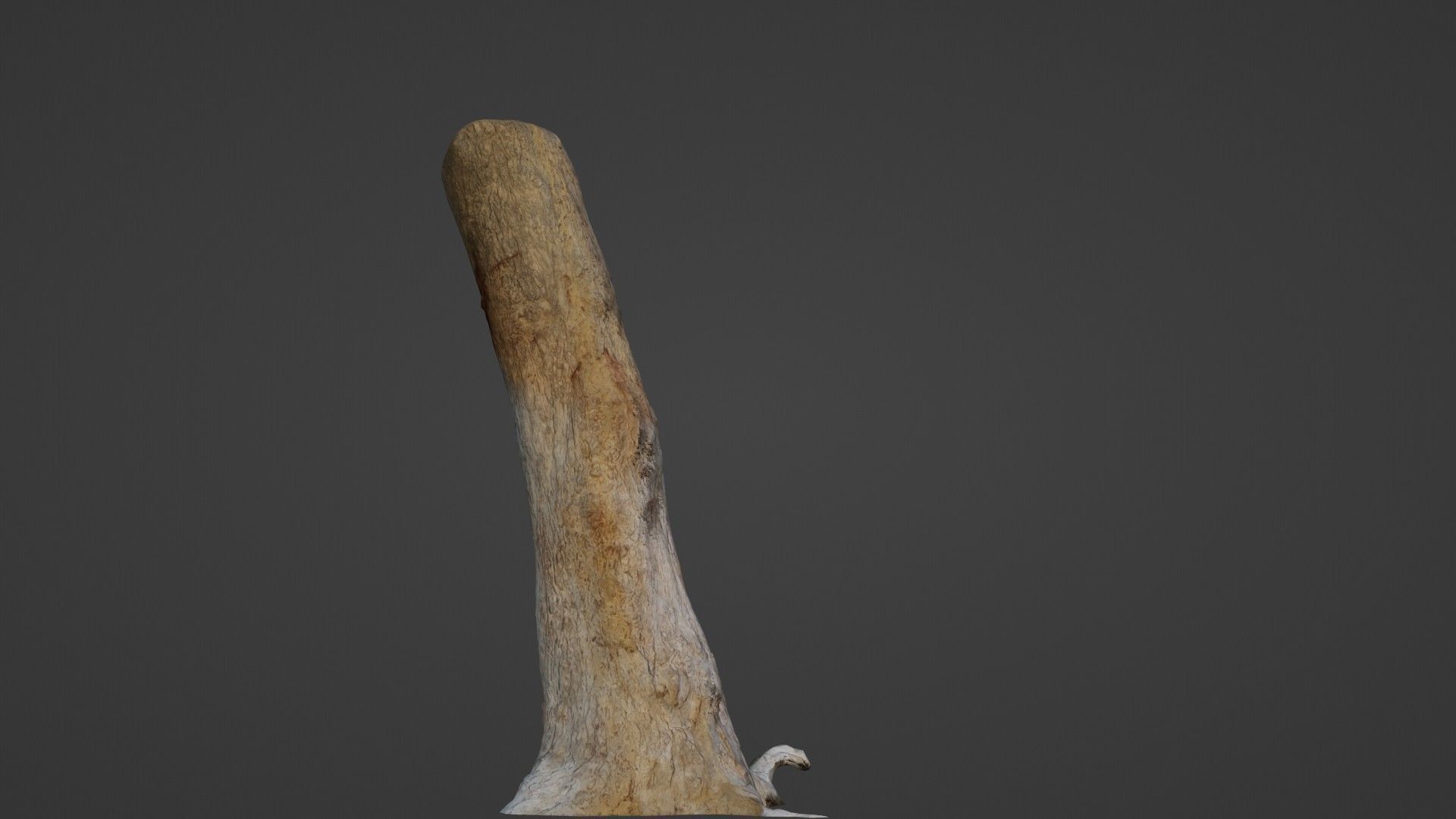 Tree Trunk Low-poly 3D model_7