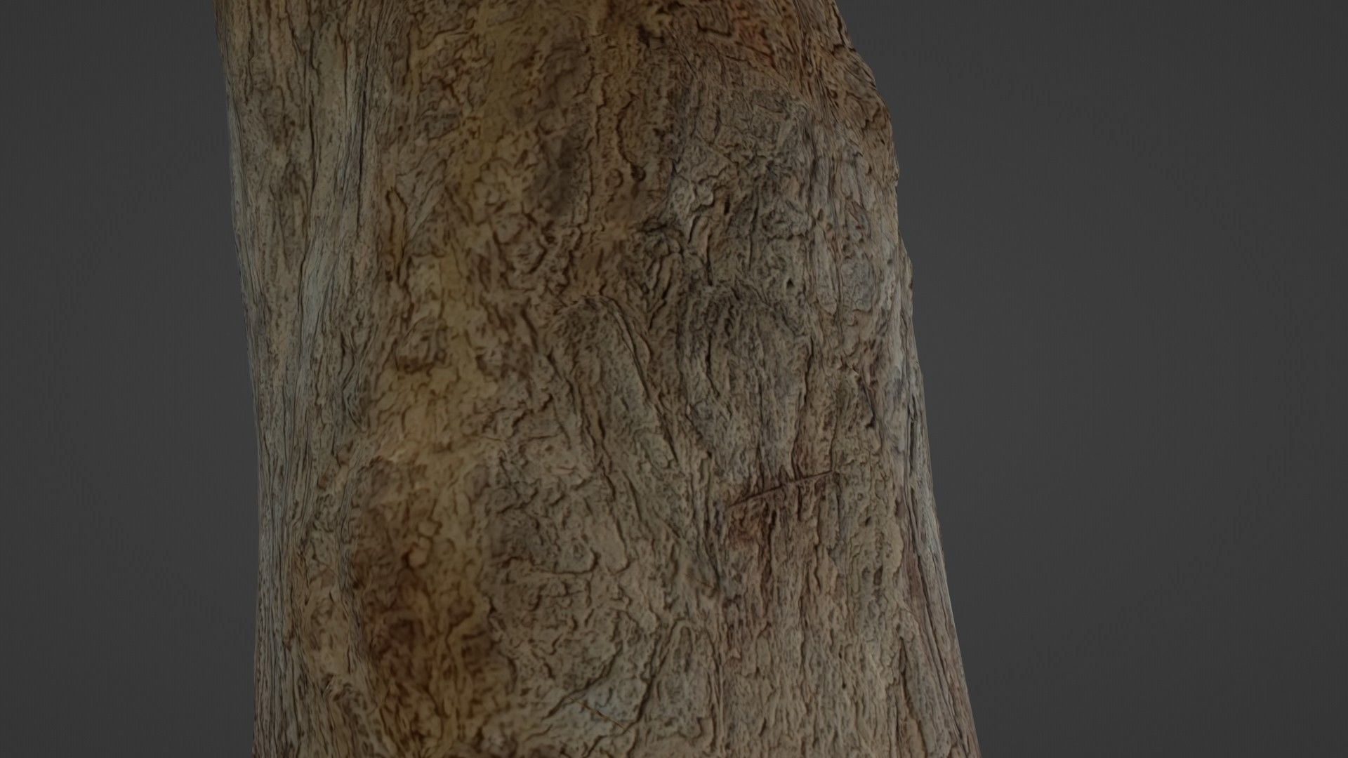 Tree Trunk Low-poly 3D model_4