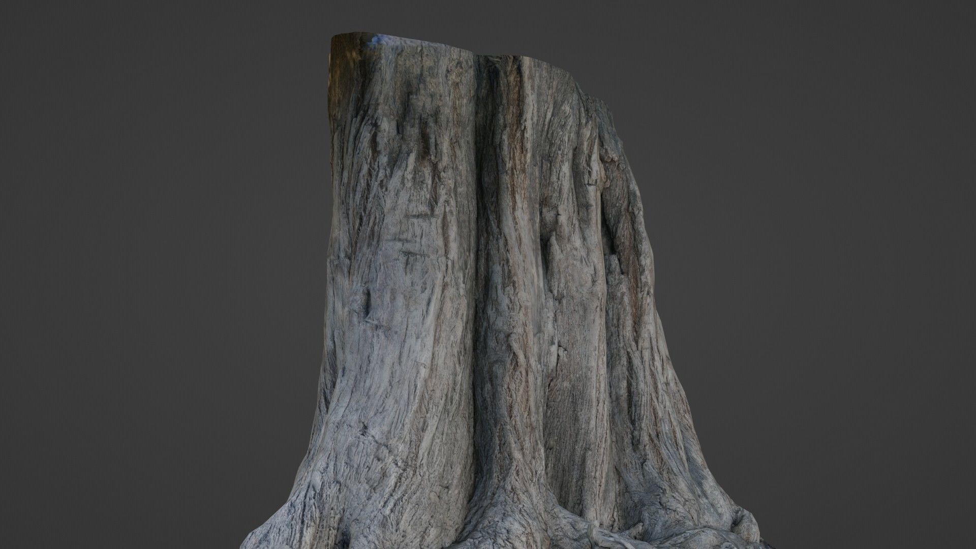Trunk Aged Low-poly 3D model_7