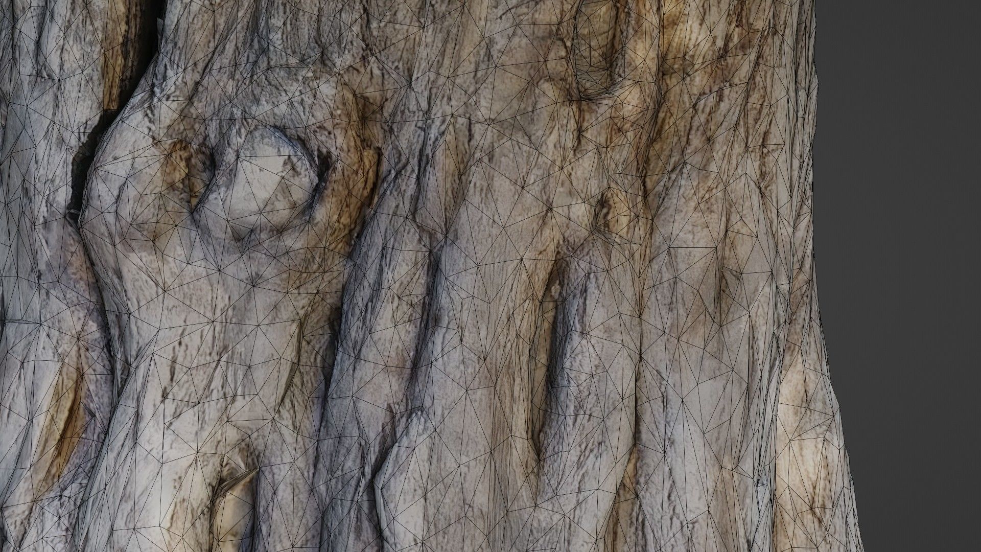 Trunk Aged Low-poly 3D model_3