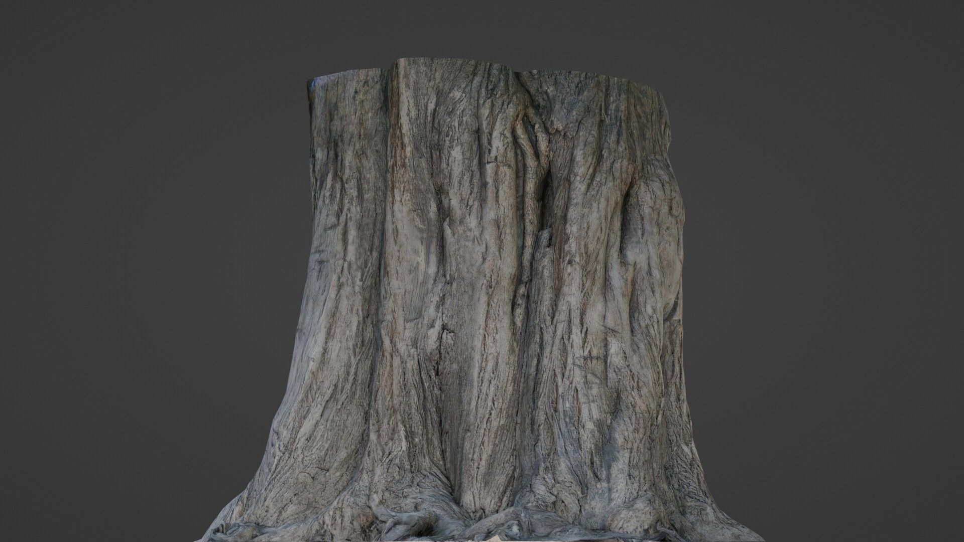 Trunk Aged Low-poly 3D model_5