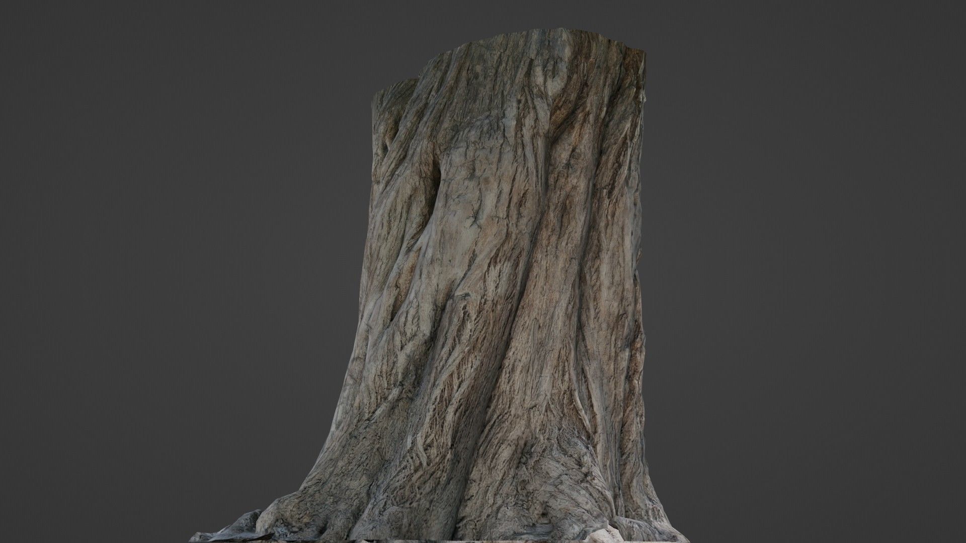 Trunk Aged Low-poly 3D model_6
