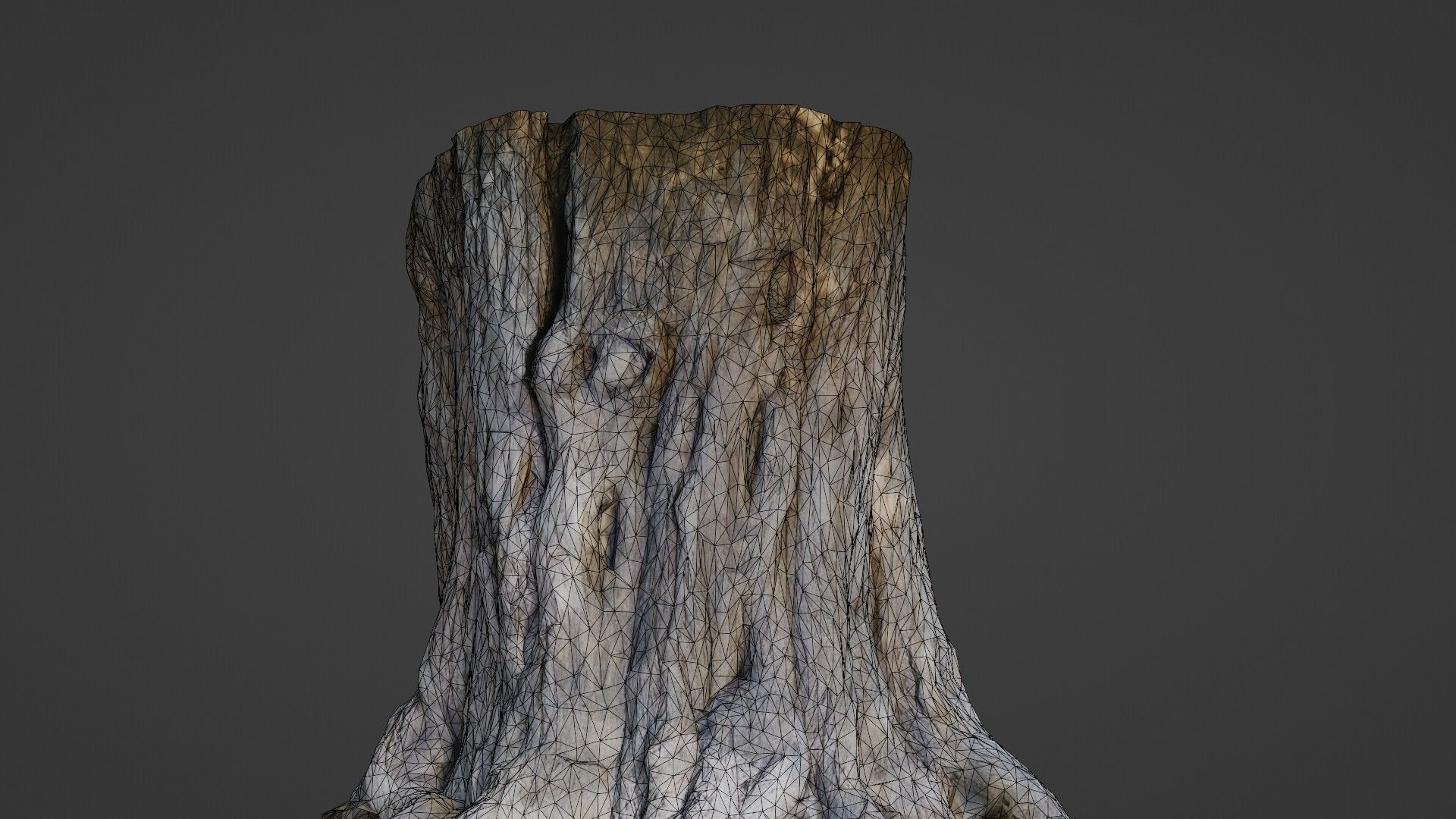 Trunk Aged Low-poly 3D model_2