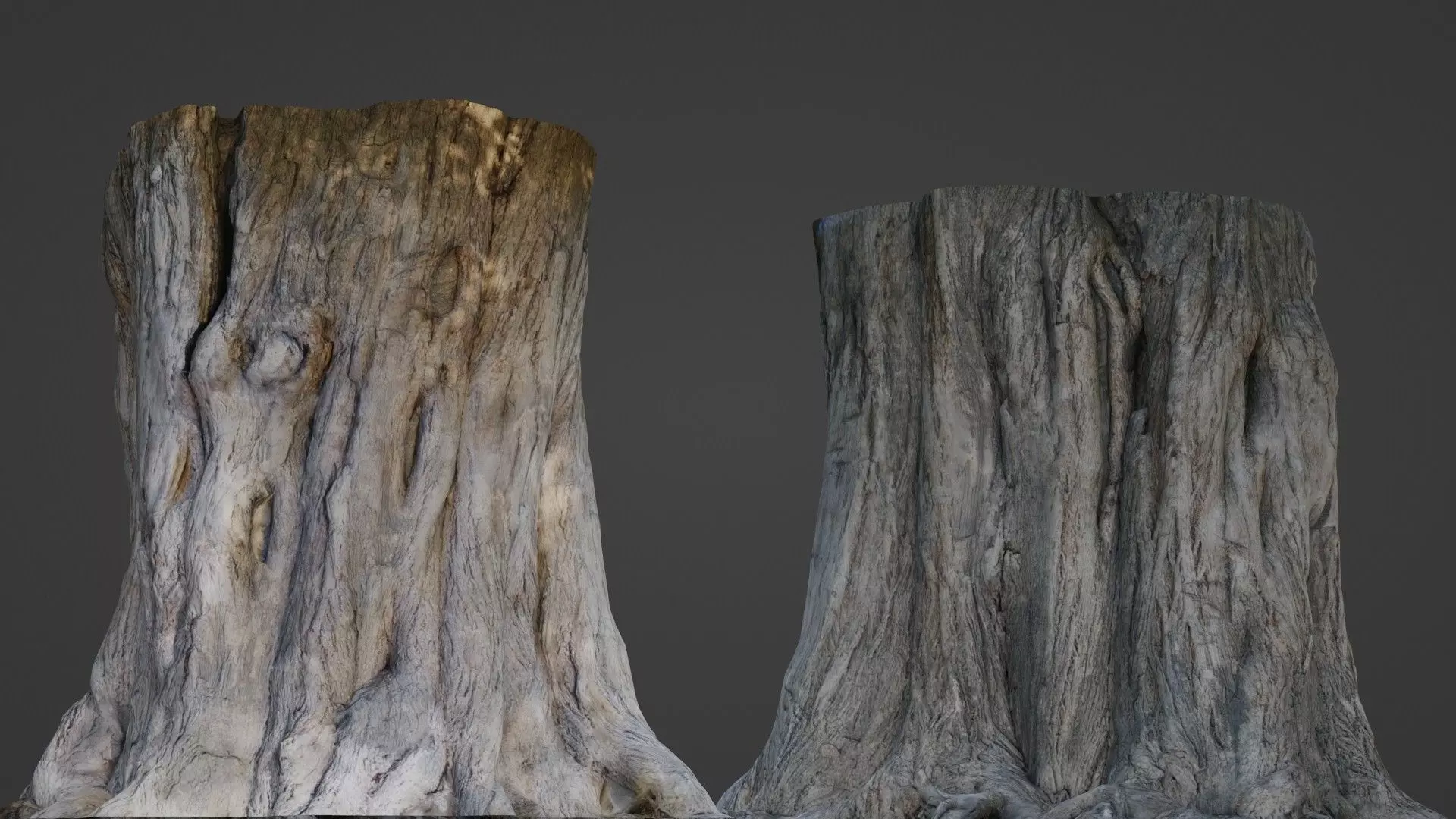 Trunk Aged Low-poly 3D model_0