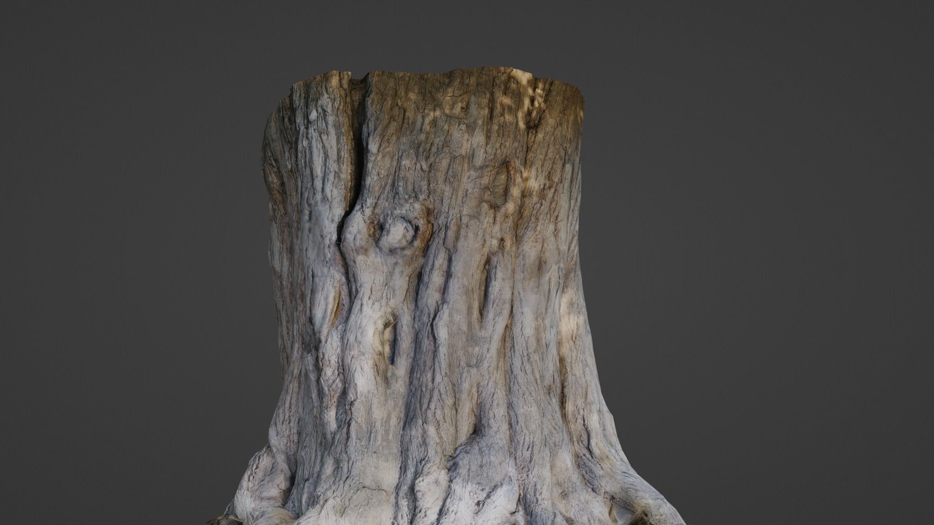 Trunk Aged Low-poly 3D model_1