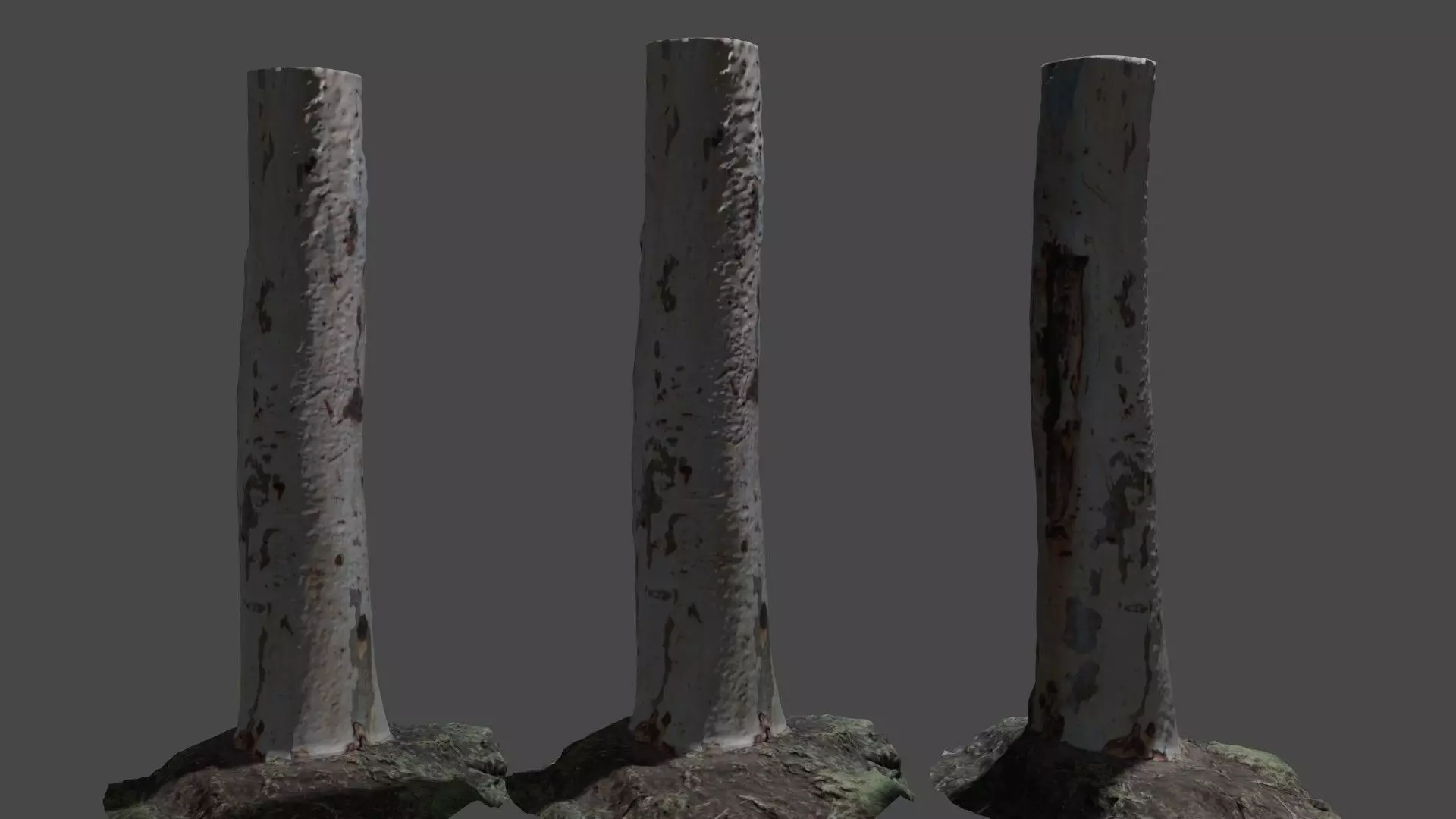 Birch tree Low-poly 3D model