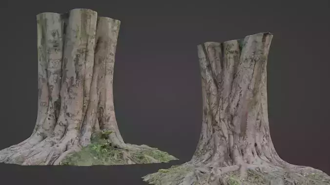 TREE SCAN Low-poly 3D model