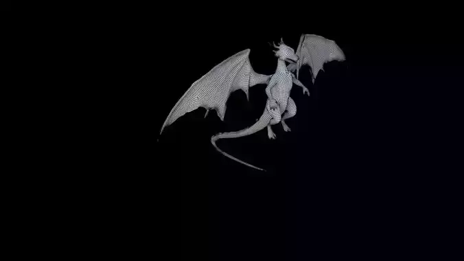 Amphiptere Dragon 3D model