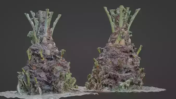 Plam base Low-poly 3D model