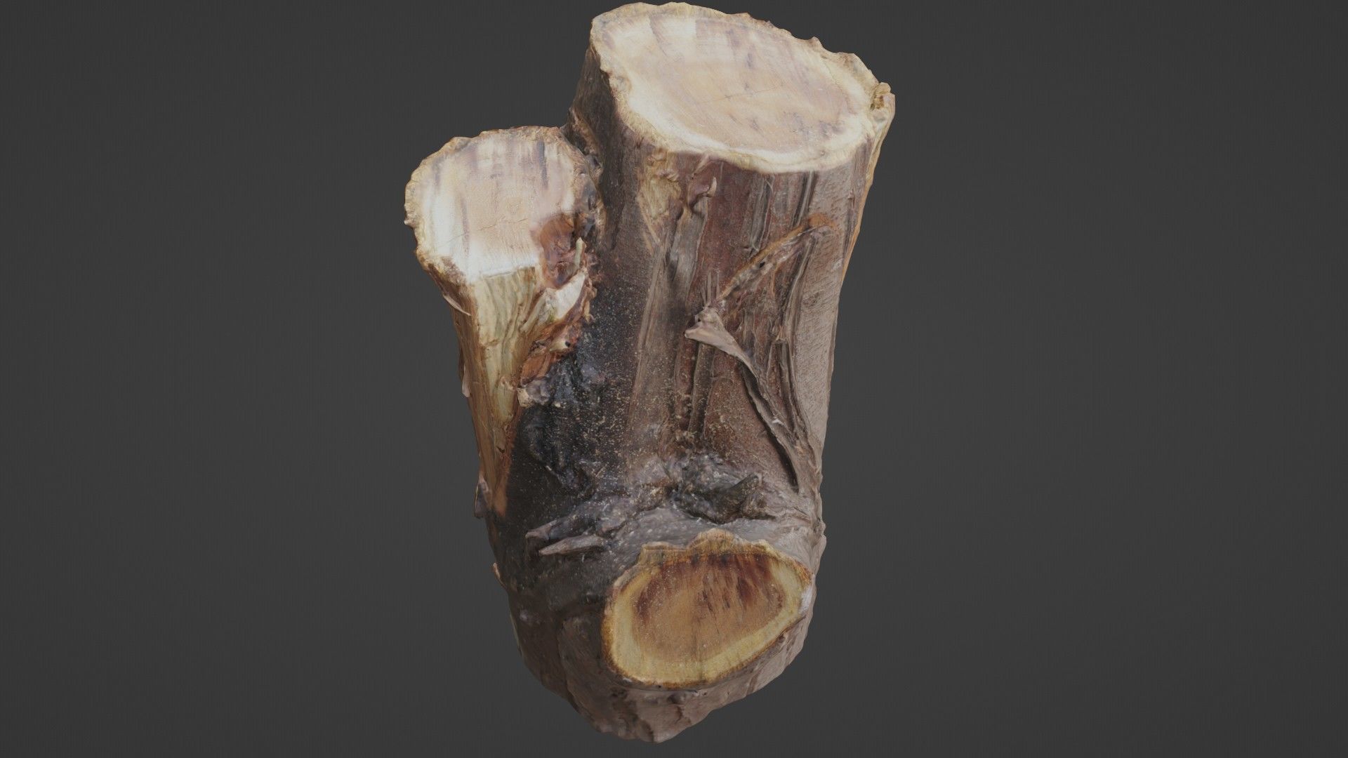 Stump Low-poly 3D model_7