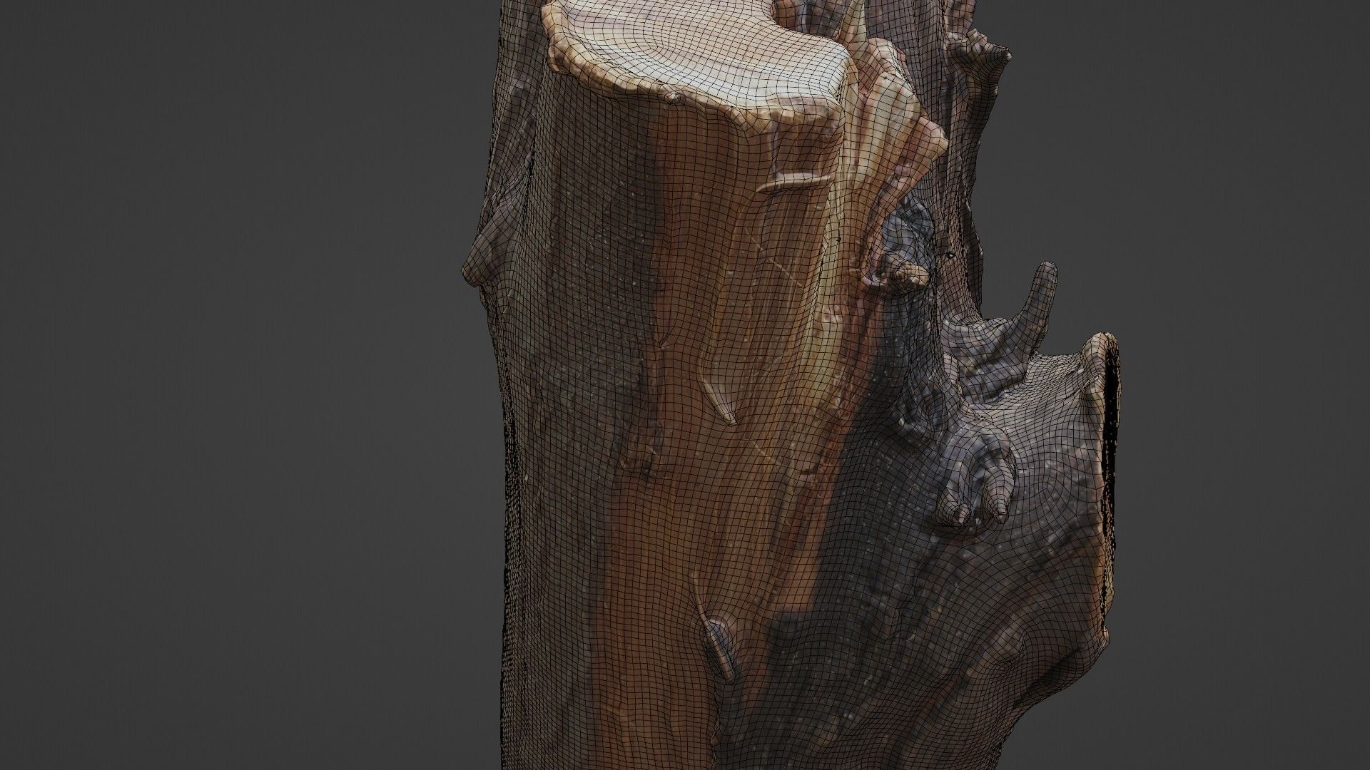 Stump Low-poly 3D model_6