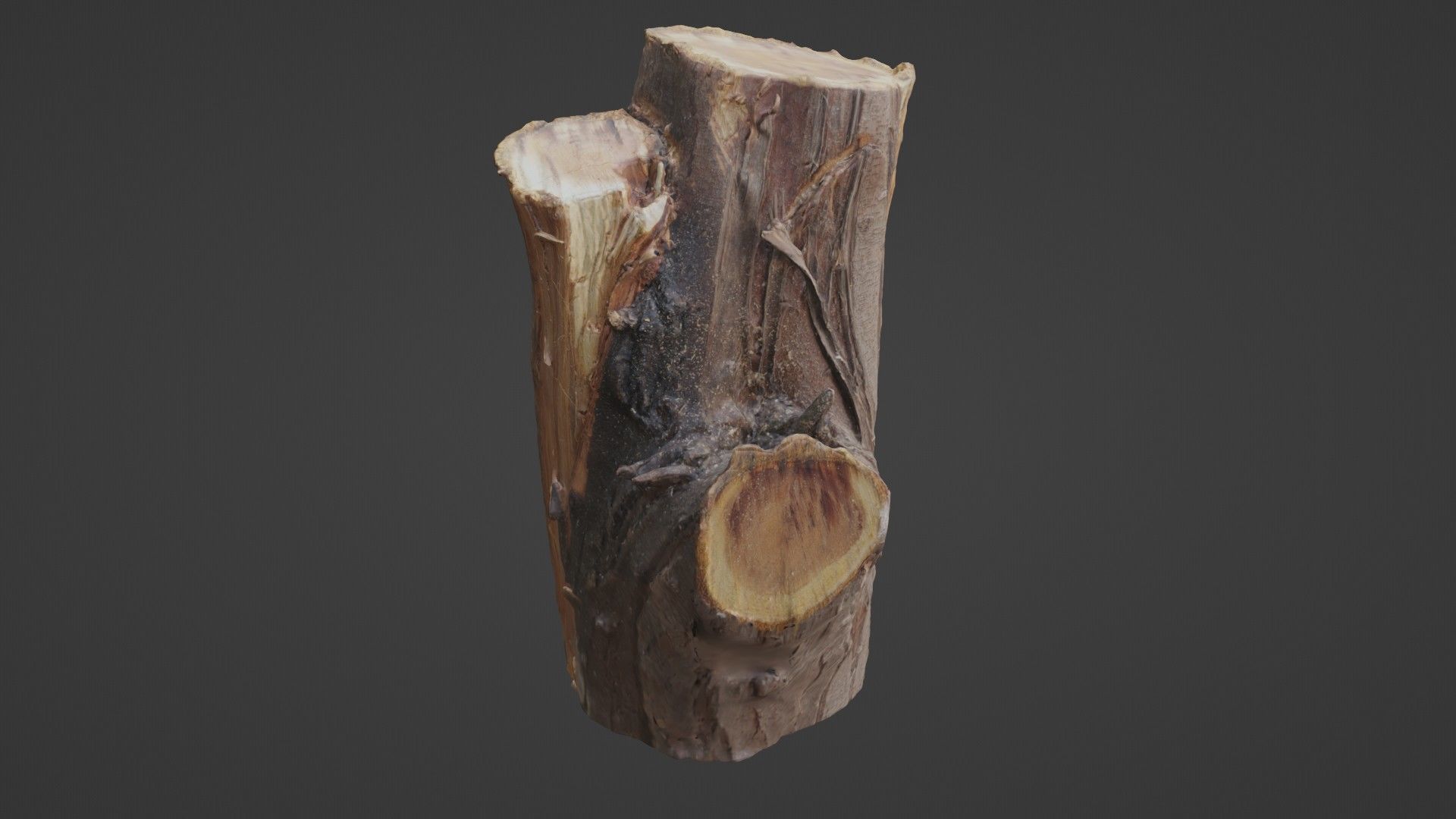 Stump Low-poly 3D model_1