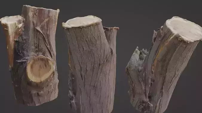 Stump