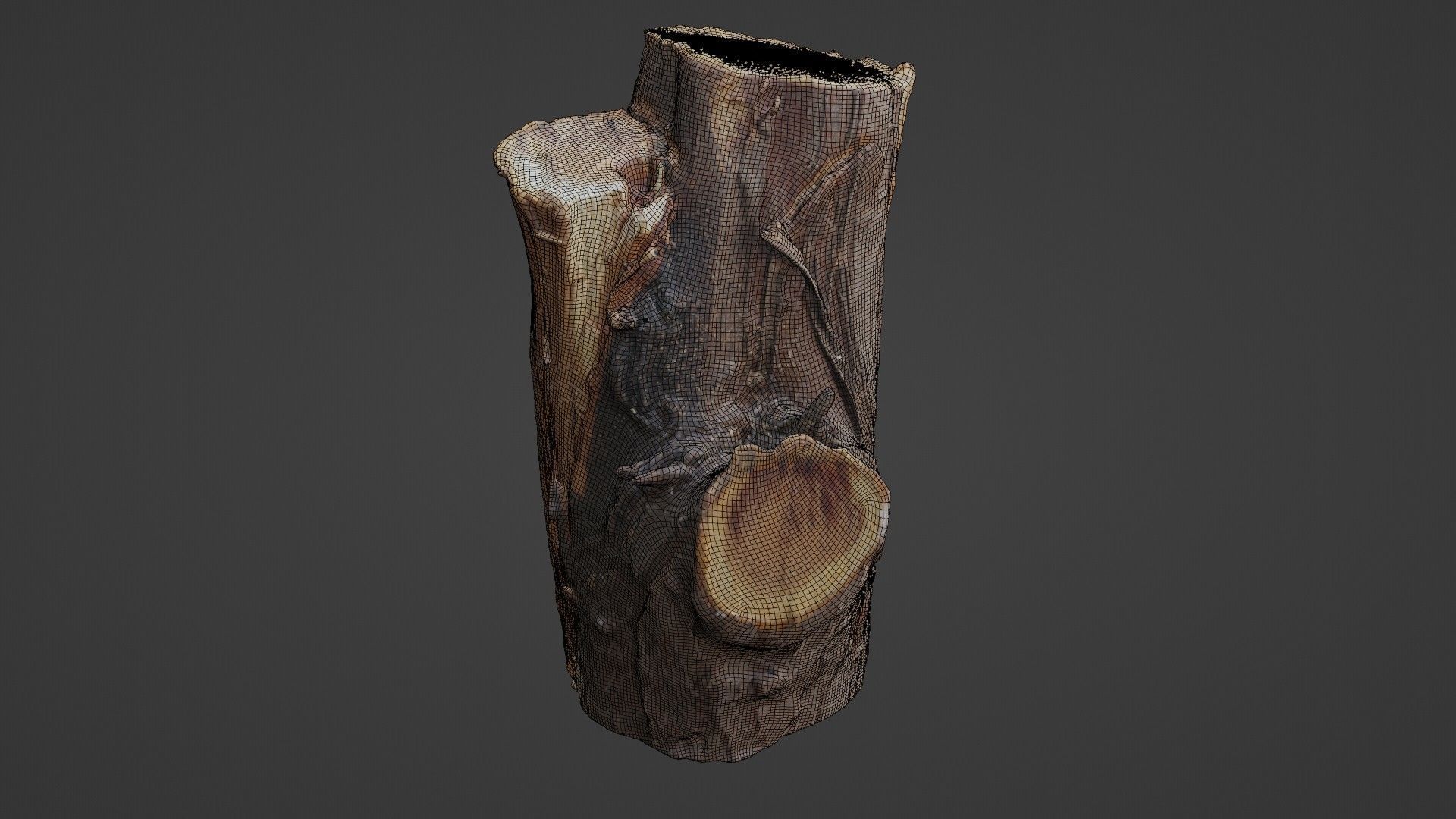 Stump Low-poly 3D model_2