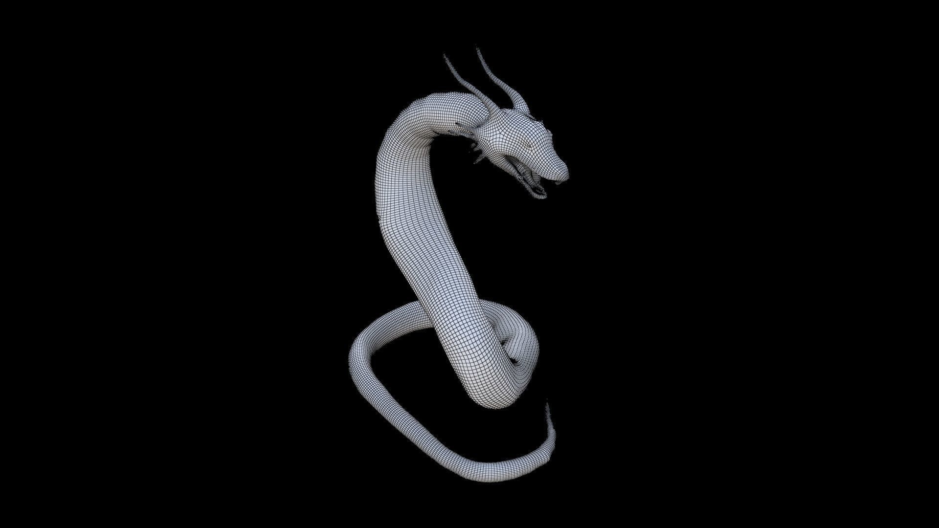 Sea Serpent Dragon 3D model_5