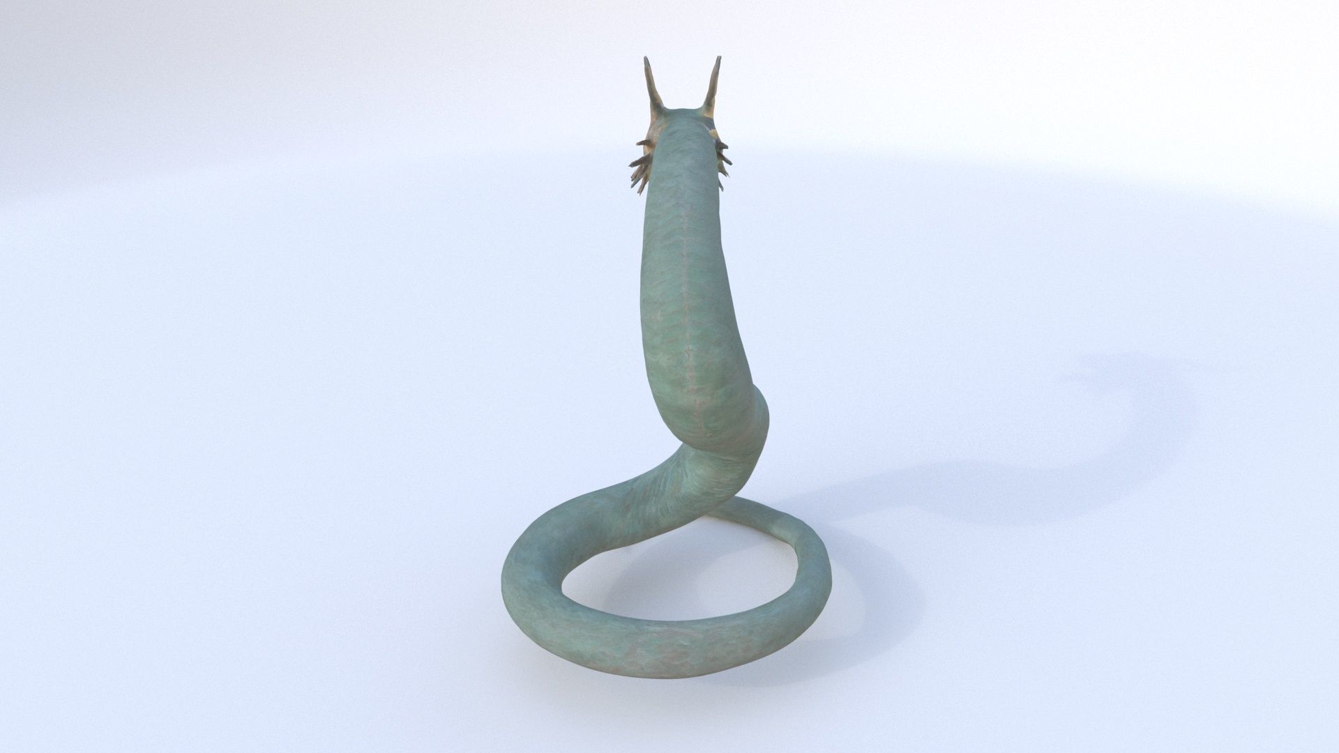 Sea Serpent Dragon 3D model_4