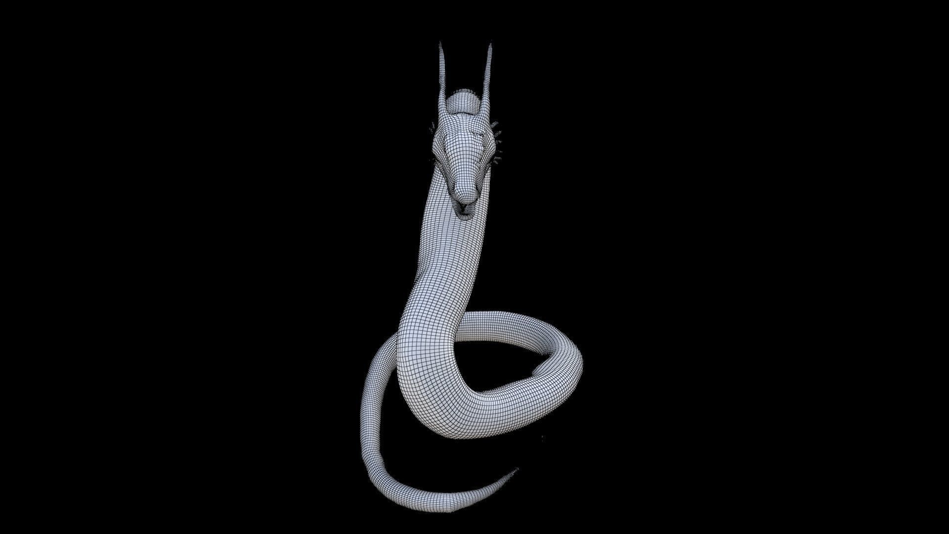Sea Serpent Dragon 3D model_6