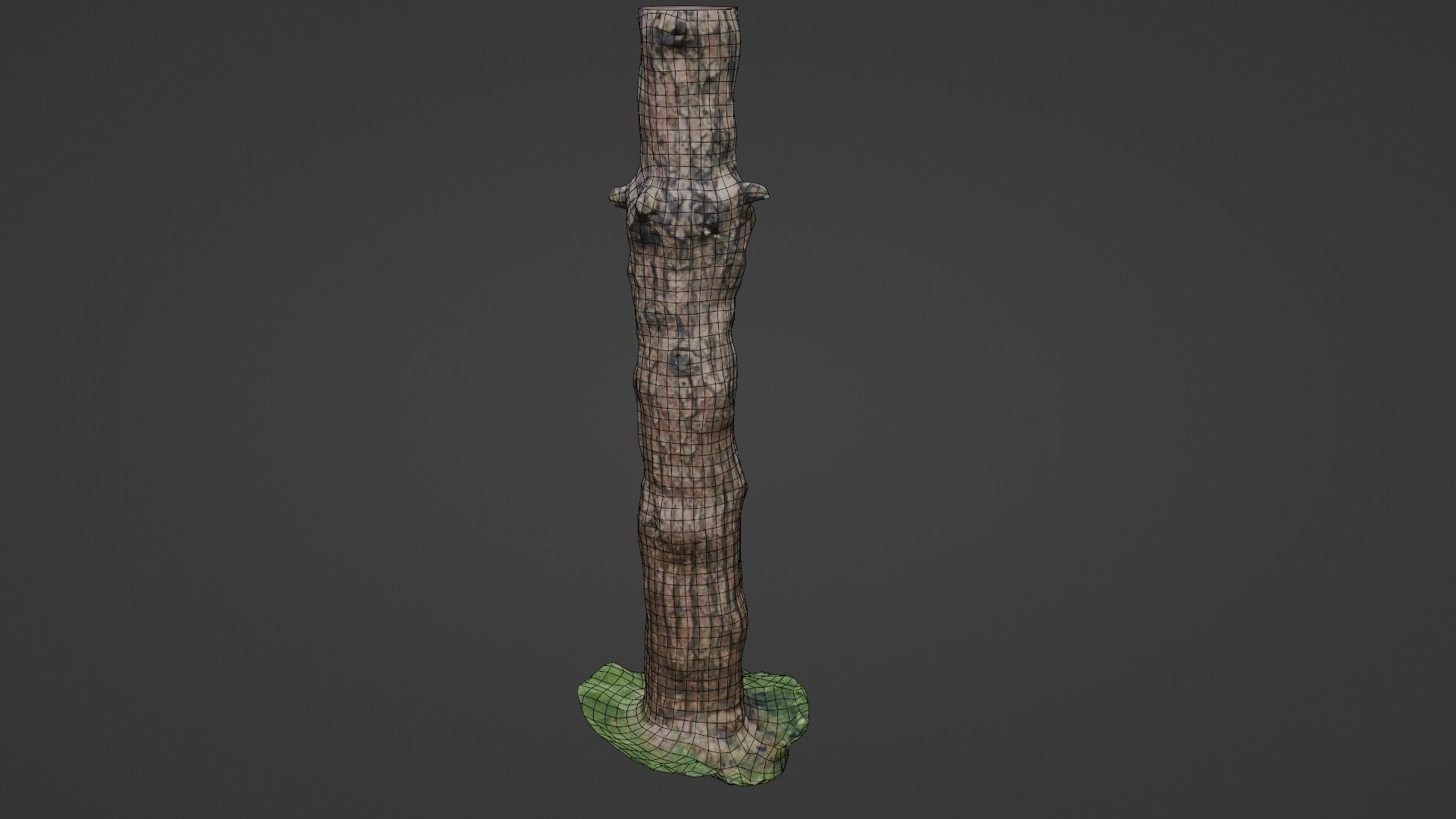 Tall tree Low-poly 3D model_2