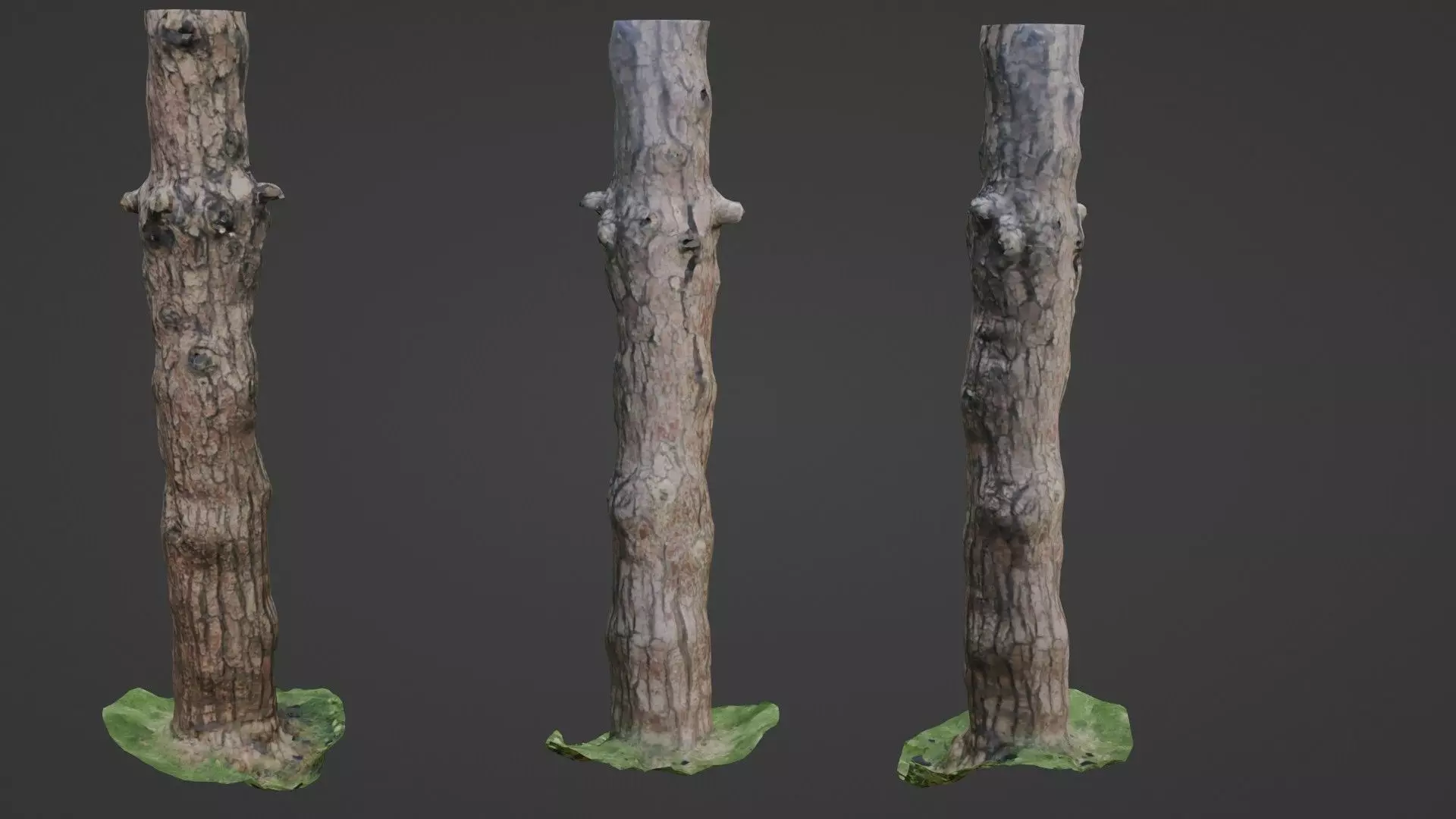 Tall tree Low-poly 3D model_0