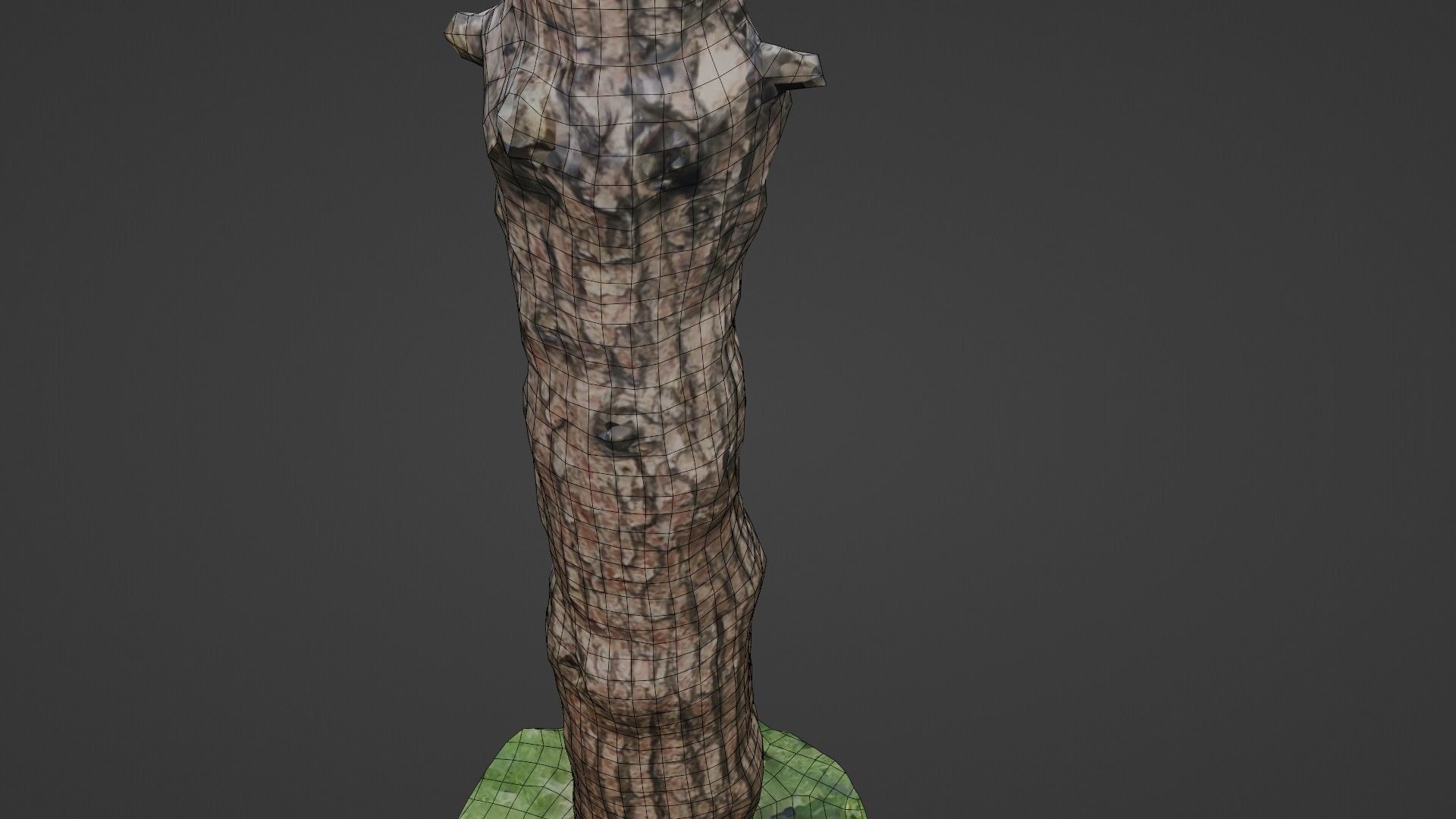 Tall tree Low-poly 3D model_4