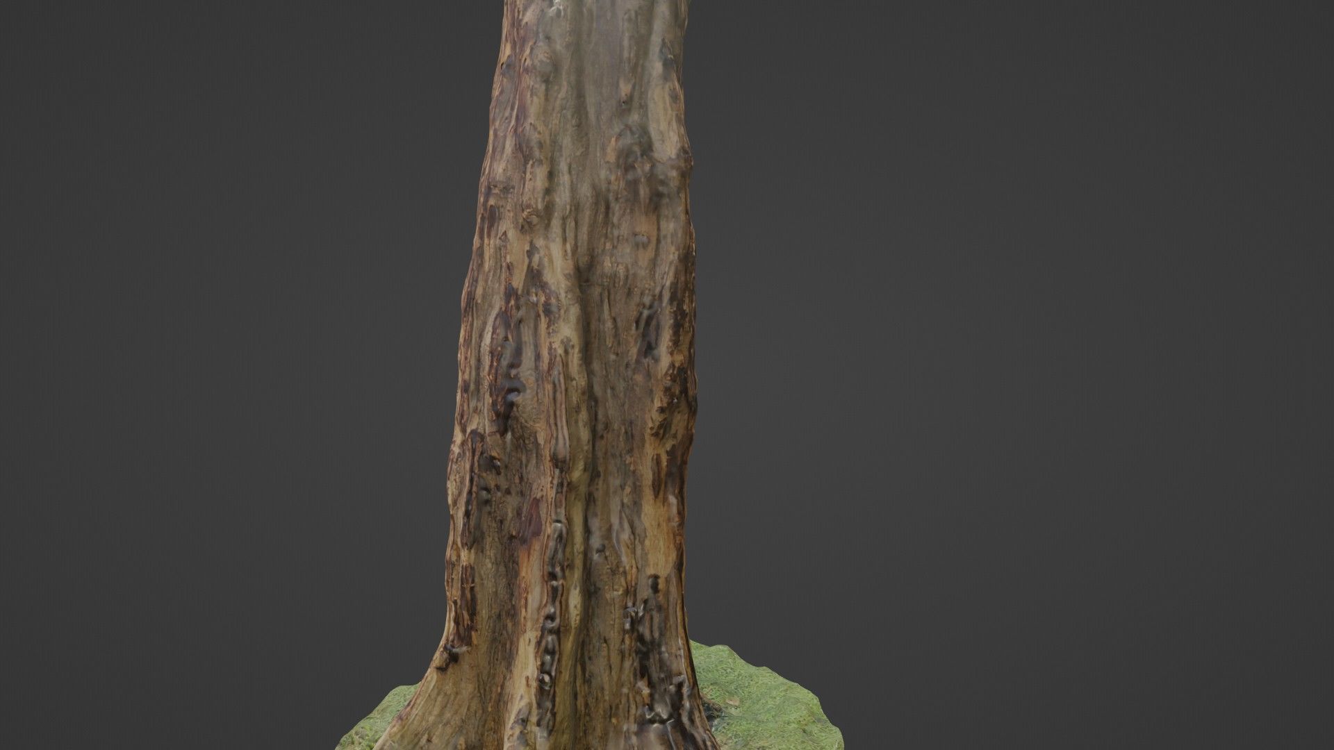 TREE SCAN Low-poly 3D model_6