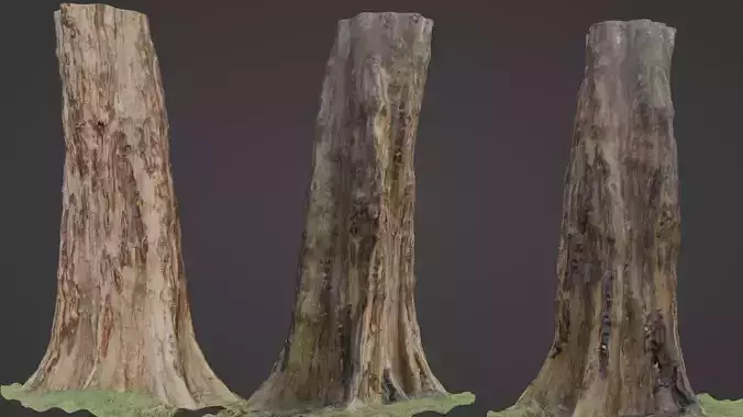 TREE SCAN Low-poly 3D model