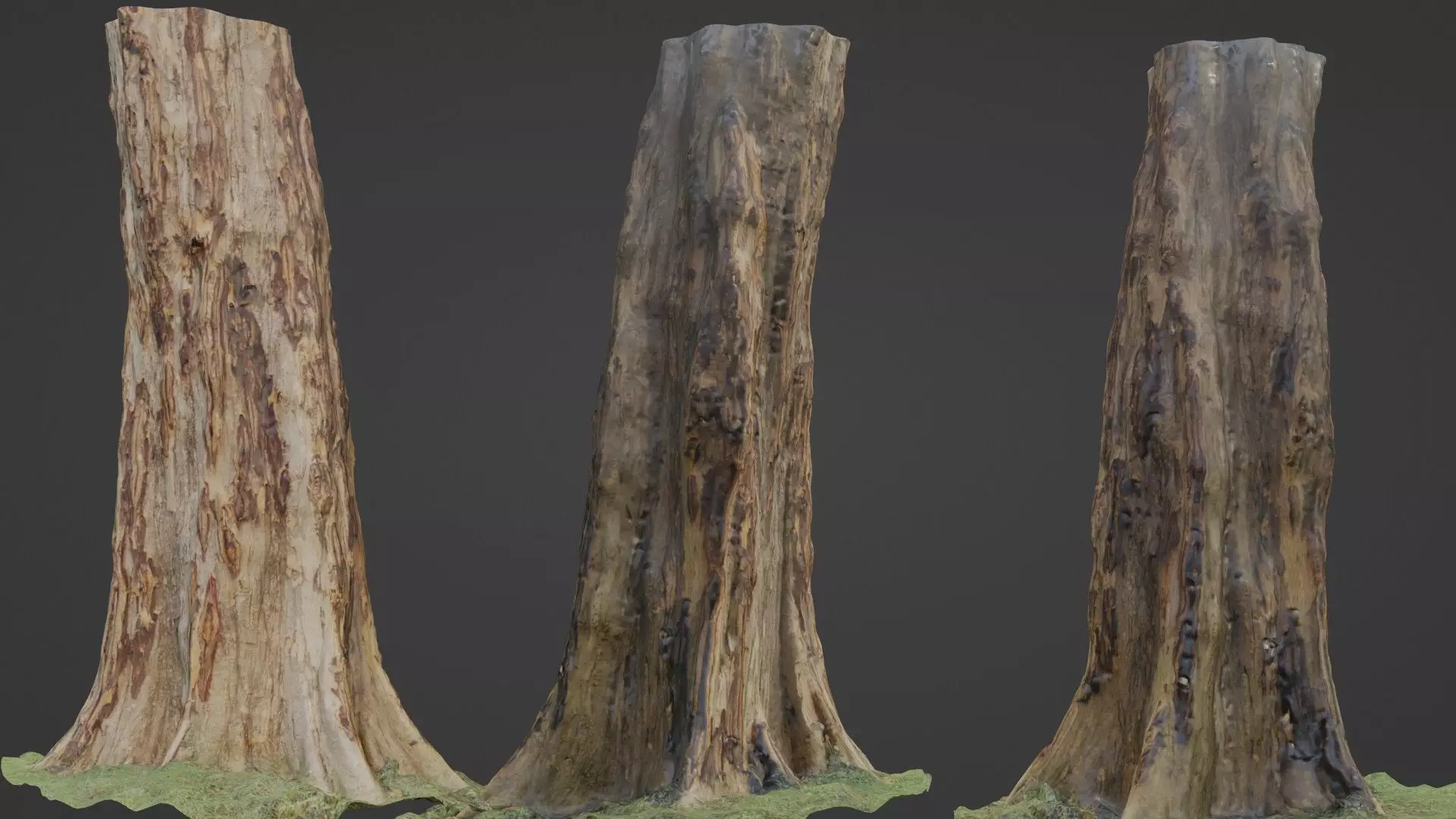 TREE SCAN Low-poly 3D model_0