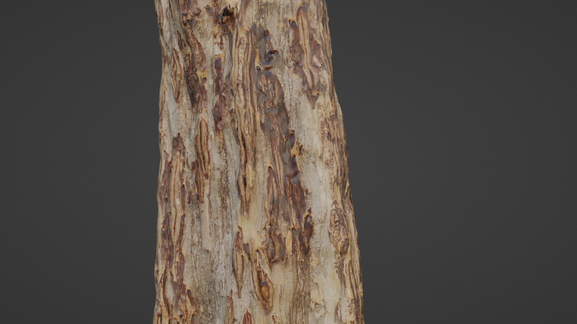 TREE SCAN Low-poly 3D model_3