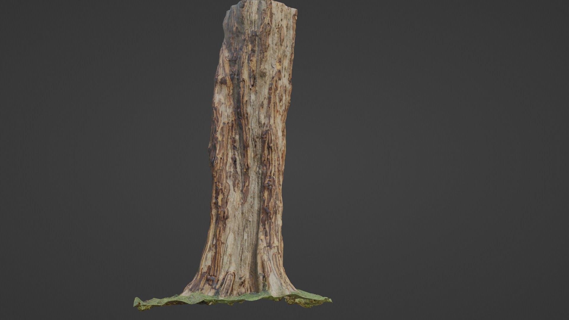 TREE SCAN Low-poly 3D model_5