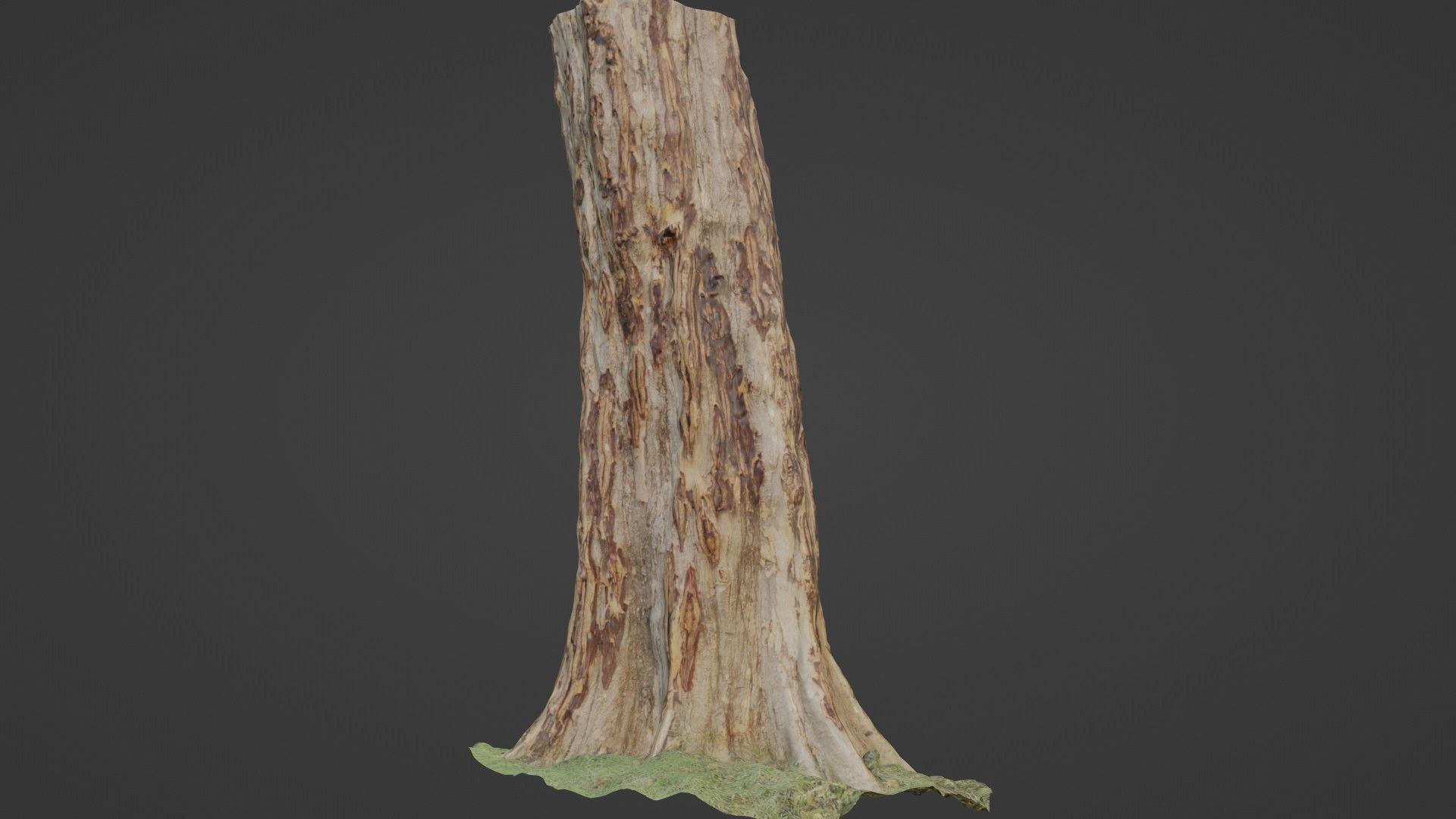 TREE SCAN Low-poly 3D model_1
