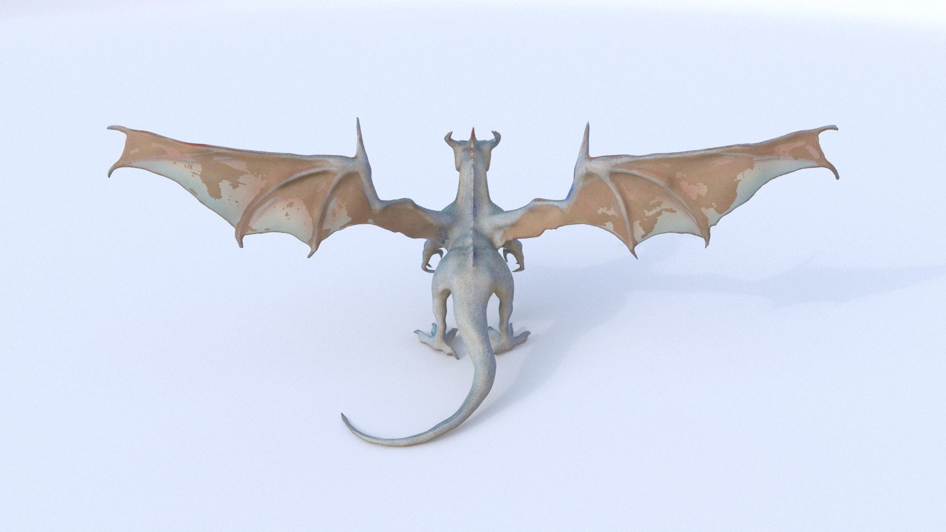 Wyvern Dragon 3D model_4