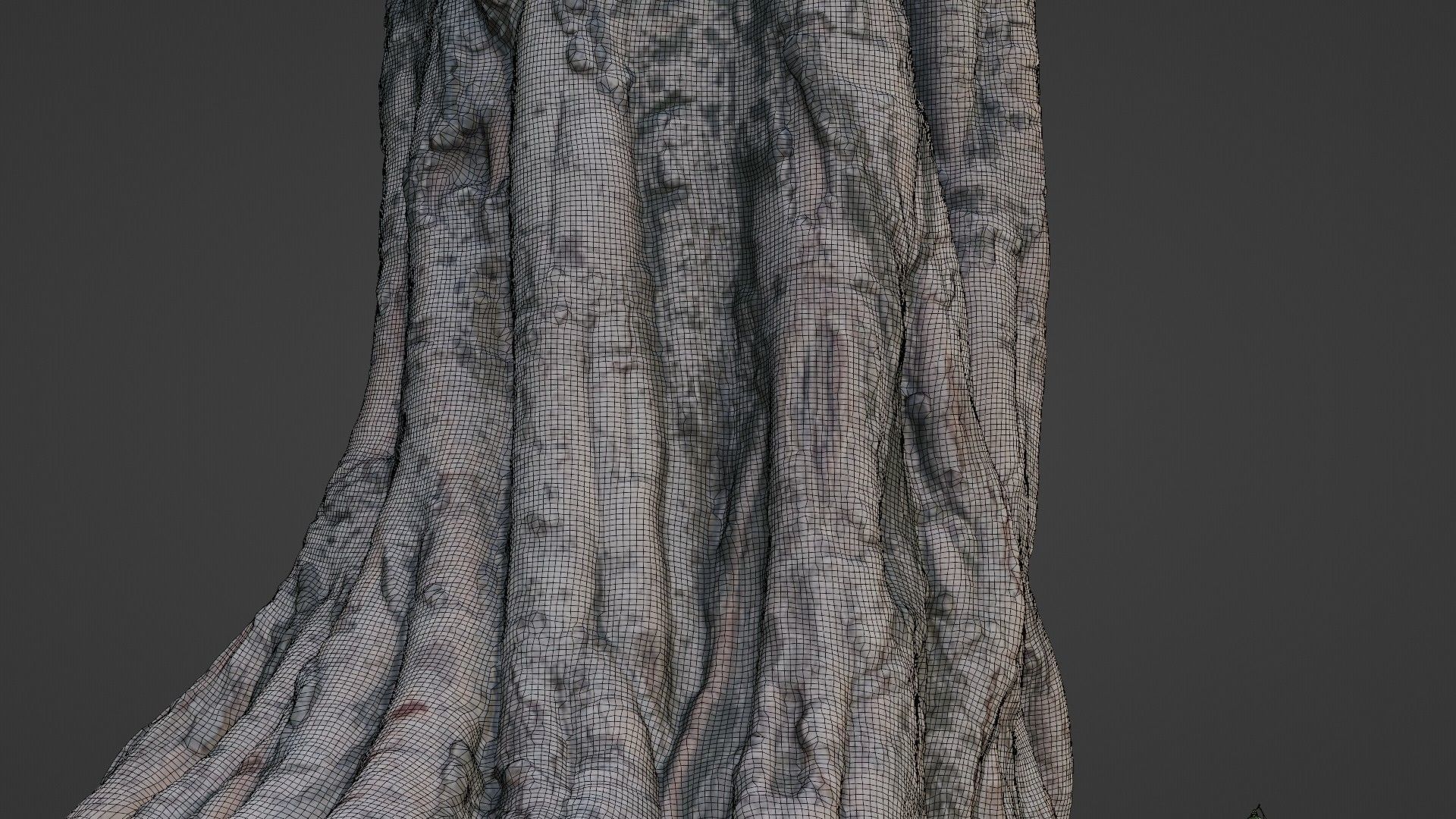 tree scan Low-poly 3D model_6