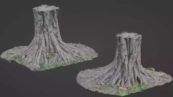 tree scan