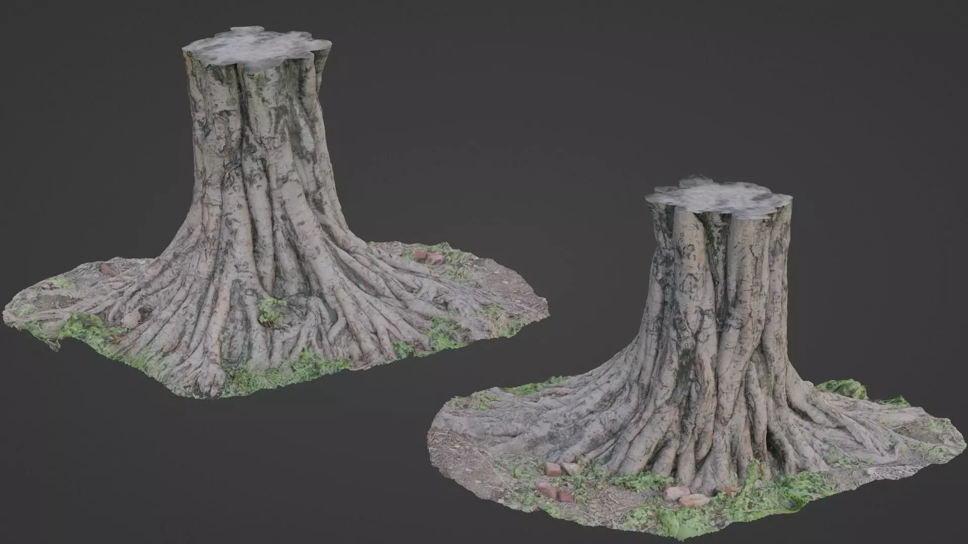 tree scan Low-poly 3D model_0