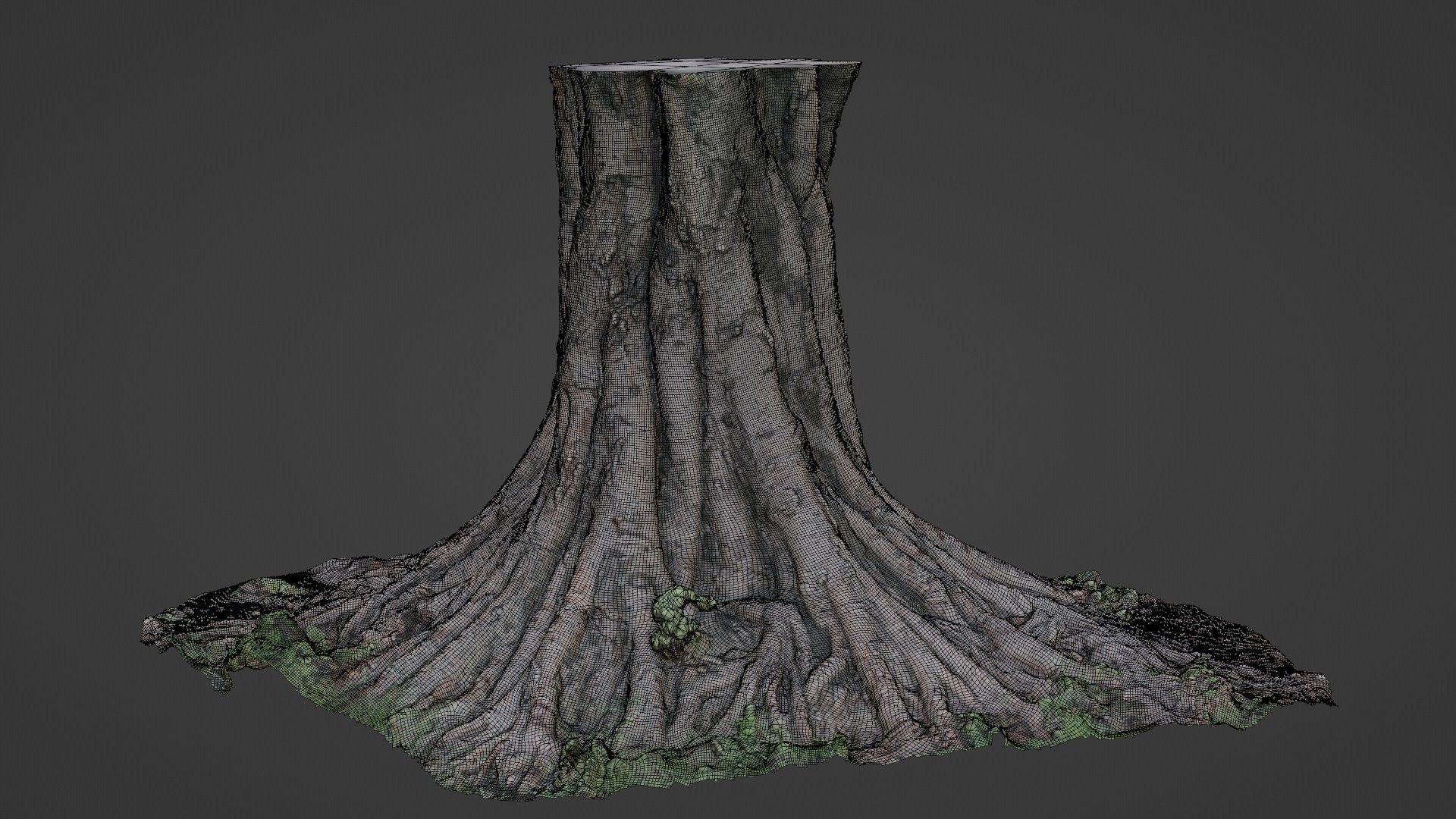 tree scan Low-poly 3D model_2