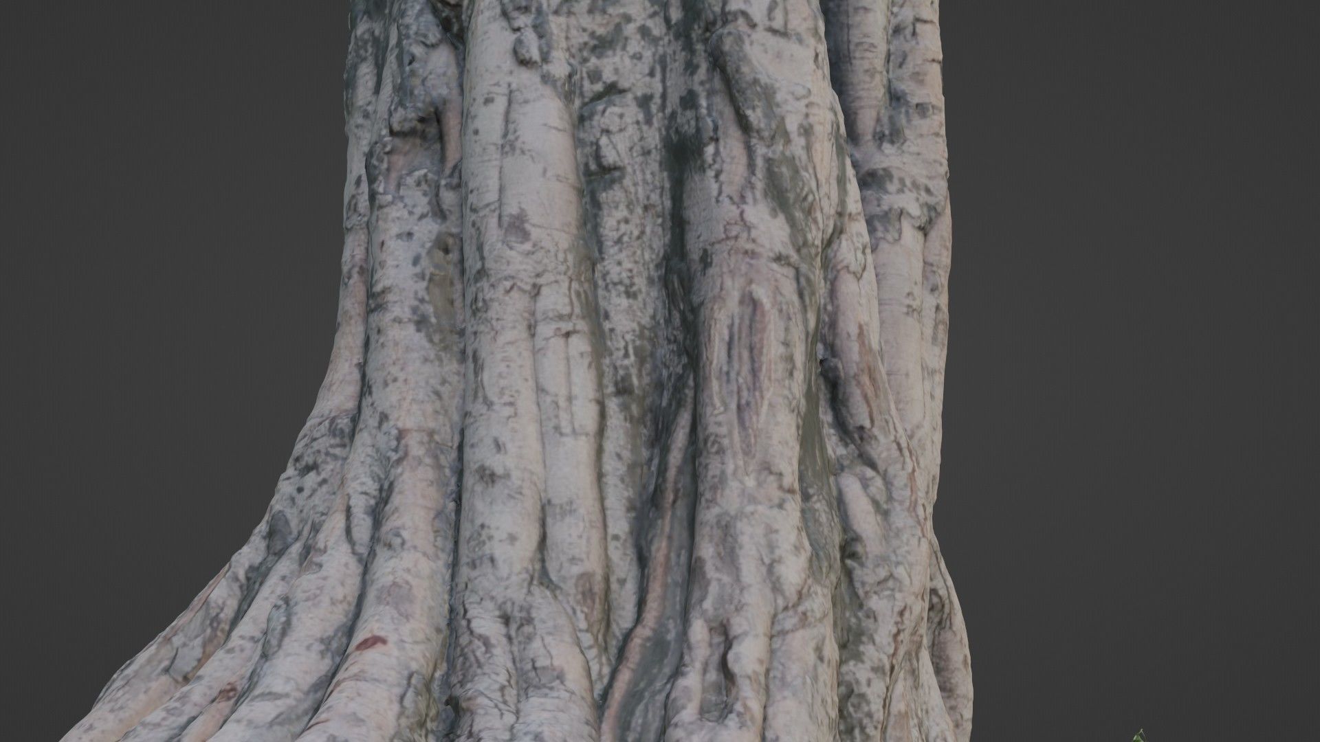 tree scan Low-poly 3D model_5
