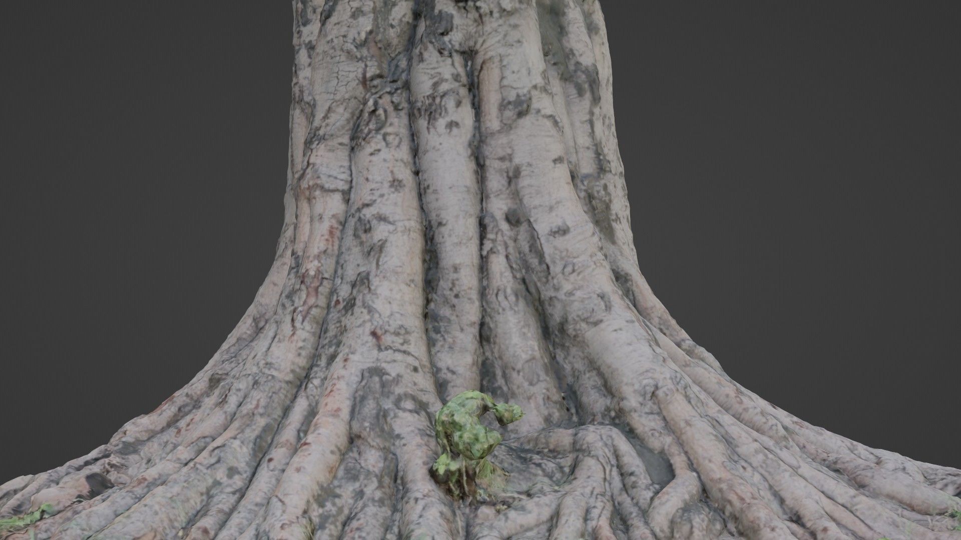 tree scan Low-poly 3D model_3