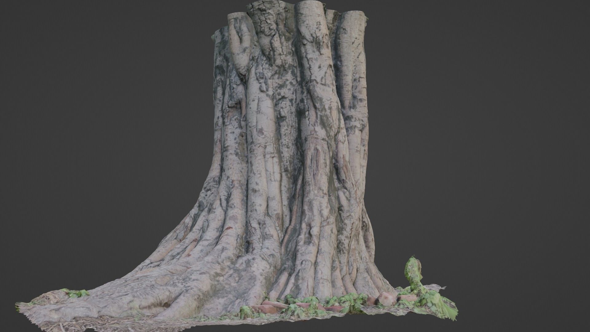tree scan Low-poly 3D model_4