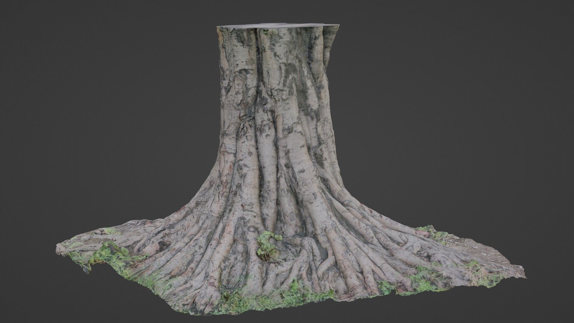 tree scan Low-poly 3D model_1
