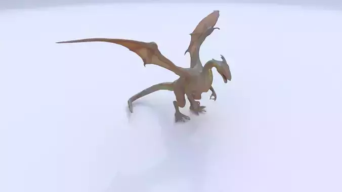 Wyvern Dragon 1