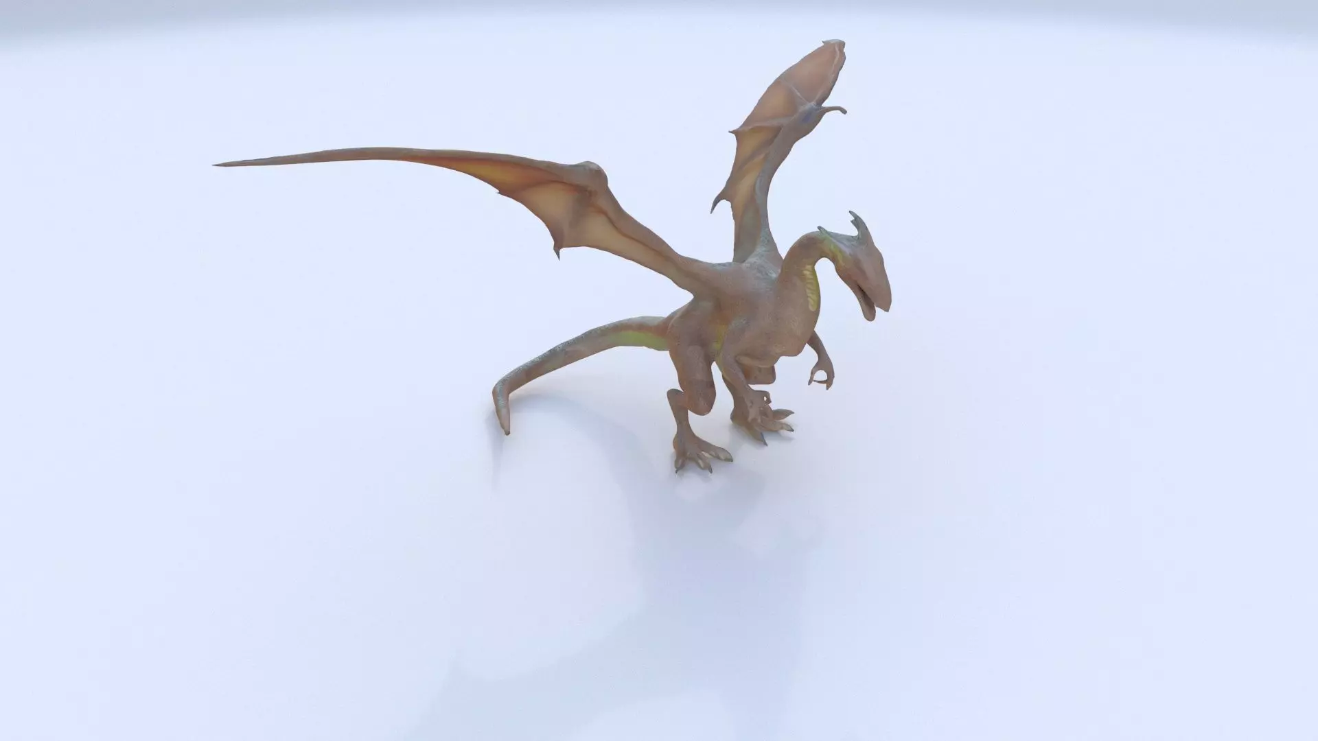 Wyvern Dragon 1 3D model_0