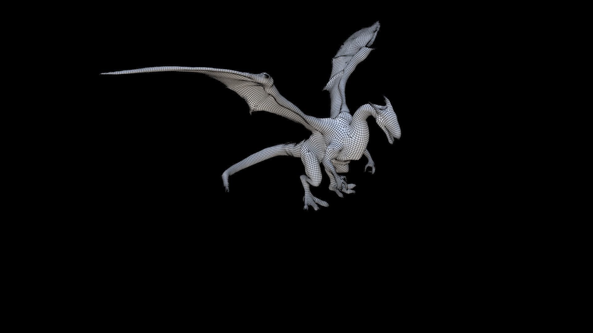 Wyvern Dragon 1 3D model_5