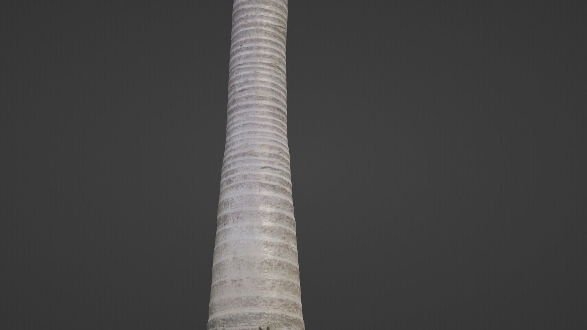 Coconut tree Low-poly 3D model_7