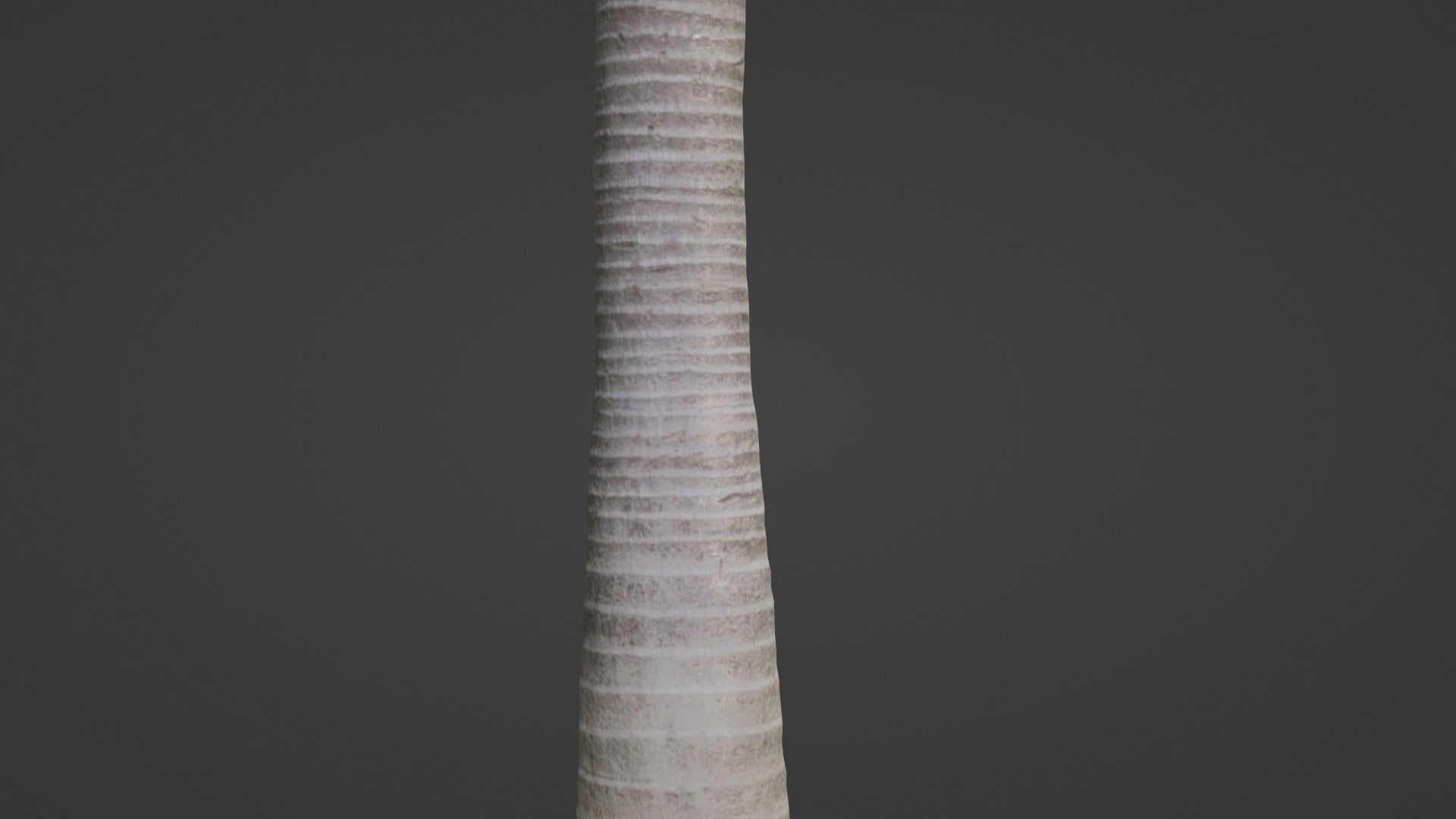 Coconut tree Low-poly 3D model_4