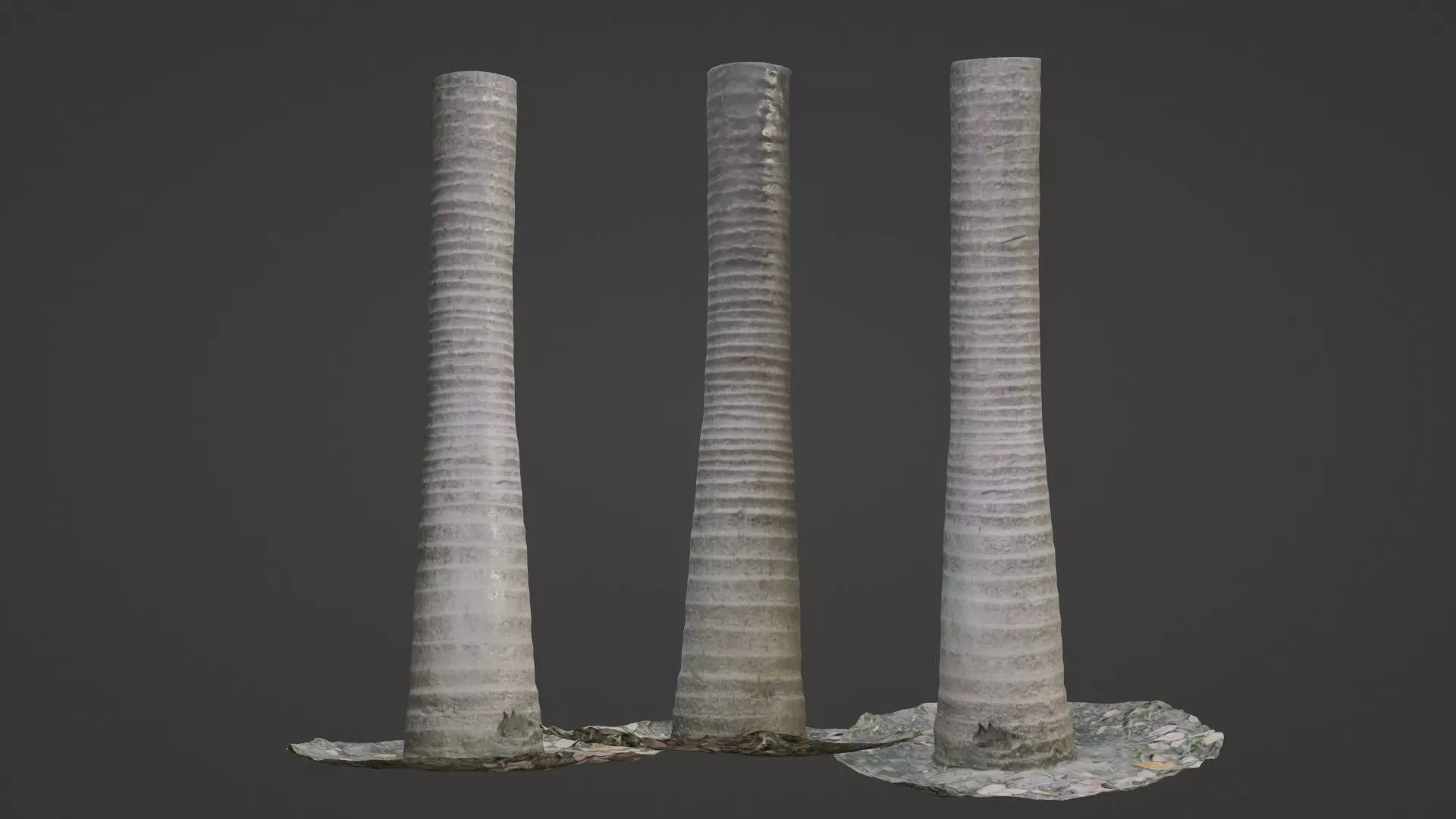 Coconut tree Low-poly 3D model_0