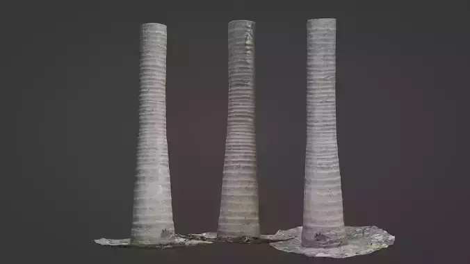 Coconut tree Low-poly 3D model