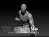 Spider-Man 3D print model_1