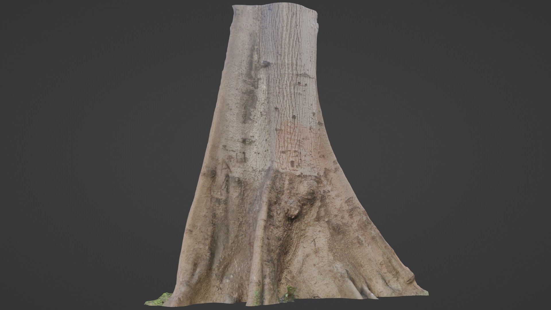 Tree Gaint Low-poly 3D model_5